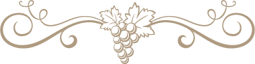 Autour Des Vignes Grapevine Floral