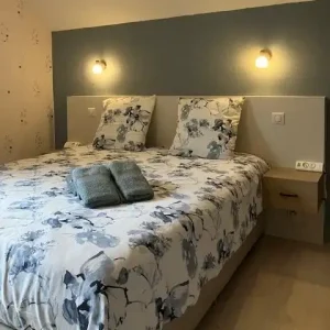 autour des vignes kamer 3